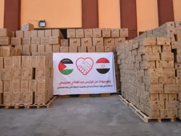 الصحة المصرية تعلن إرسال 65 طناً من الأدوية إلى قطاع غزة - وكالة ستيب نيوز