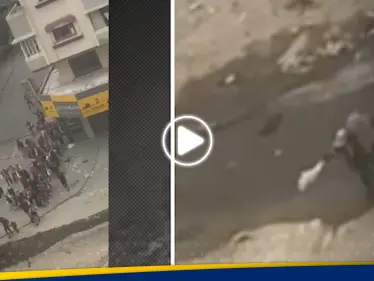 تحقيق يحرج إسرائيل.. CNN تنشر مشاهد لمقتل سيدة فلسطينية ترفع راية بيضاء وتمسك حفيدها (فيديو) - وكالة ستيب نيوز