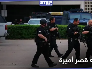 سرقة أميرة عربية في لندن... والمشتبه فيها من داخل القصر يكشفها مزاد علني - وكالة ستيب نيوز