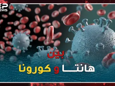 هل أنت خائف من كورونا!؟..استعد لتتعرف على فيروس هانتا القاتل المتجدد! - وكالة ستيب نيوز
