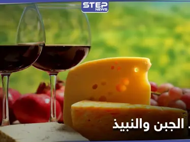دراسة أمريكية: الجبن والنبيذ يحسنان من القدرات المعرفية - وكالة ستيب نيوز
