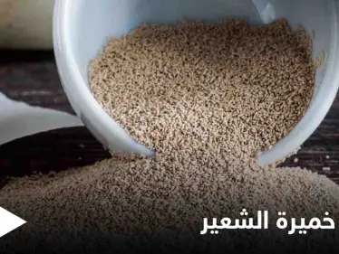 تعرف على أضرار خميرة الشعير لمرضى السرطان والسكري وفئات أخرى وطريقة استهلاكها بشكل آمن - وكالة ستيب نيوز