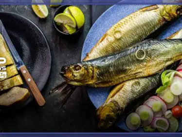 تناول السمك أثناء الحمل - وكالة ستيب نيوز