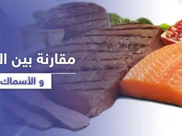 هل تعلم الفرق بين فوائد اللحوم والأسماك.. وحاجة الجسم لكل منهما - وكالة ستيب نيوز