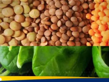 العدس أم السبانخ لمحاربة فقر الدم.. إليك المفاجأة - وكالة ستيب نيوز