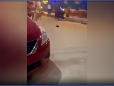 بالفيديو|| شباب يرهبون فتيات بالكلاب وسط شوارع بنها المصرية ويضحكون بعد حالة إغماء بينهن - وكالة ستيب نيوز