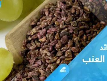 لشفاء الجروح وخسارة الوزن الزائد.. تعرف على فوائد بذور العنب - وكالة ستيب نيوز