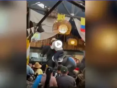 بالفيديو|| حصان يحطم طاولة في مطعم ويثير الذعر أثناء استعراض شعبي - وكالة ستيب نيوز