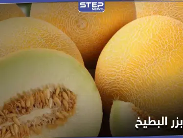 فوائد بزر البطيخ غير المعروفة والمعادن التي يتميز بها - وكالة ستيب نيوز
