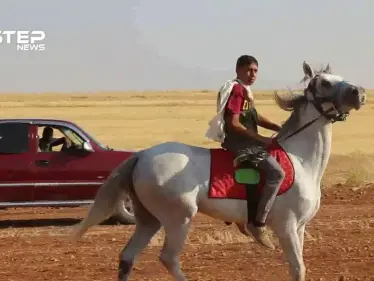 شاهد سباق للخيول العربية الأصيلة تحت مسمى بطولة الشهيد عبد الباسط الساروت في قرية النعمان بريف حلب - وكالة ستيب نيوز