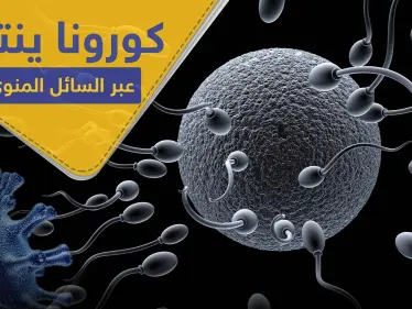 دراسات حديثة تشير إلى إمكانية انتقال كورونا عبر العلاقة الزوجية - وكالة ستيب نيوز