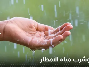 "أخبار سيئة للأرض".. دراسة مخيفة حول مياه الأمطار : إياك والشرب منها! - وكالة ستيب نيوز