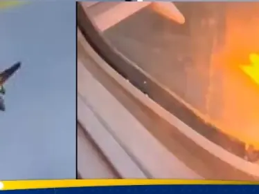 أرنب يلتهم محرك طائرة.. شاهد لحظة اندلاع النيران فيها وصراخات الركاب (فيديو) - وكالة ستيب نيوز