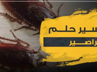 تفسير حلم الصراصير في البيت لجميع أفراد الأسرة .. 4 تفاسير لرؤية المرأة له - وكالة ستيب نيوز