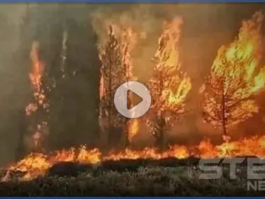 بالفيديو|| حرائق الساحل السوري تصل مناطق سيطرة المعارضة.. ومصدر بالدفاع المدني يكشف عن الجاهزية لمجابهتها - وكالة ستيب نيوز