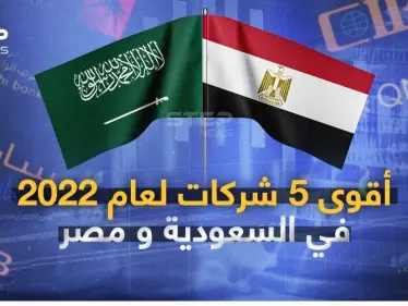 أقوى 5 شركات لعام 2022 في السعودية ومصر - وكالة ستيب نيوز