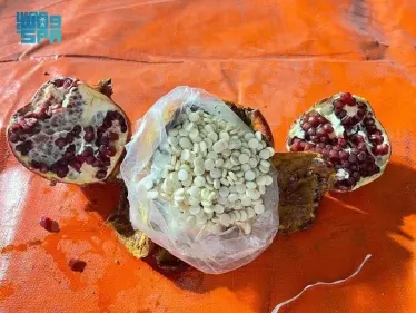 أثارت غضبها.. السعودية تصدر قراراً صارماً بعد ضبط شحنة مخدرات ضخمة قادمة من لبنان - وكالة ستيب نيوز