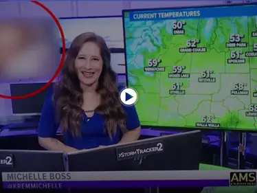 بالفيديو|| قناة أمريكية تقع بموقف محرج بعد عرض لقطات من "أفلام غير أخلاقية" خلف مذيعة أثناء نشرة الطقس - وكالة ستيب نيوز