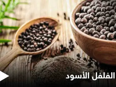 منها تهدئة السعال ومحاربة السرطان.. تعرف على فوائد الفلفل الأسود الكثيرة - وكالة ستيب نيوز