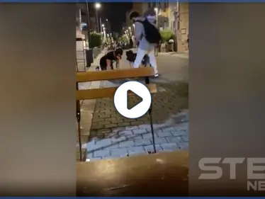 بالفيديو|| بمشهد غير مألوف.. ظهور كلاب بشرية وسط الشوارع الإسرائيلية وشخص يجرهم - وكالة ستيب نيوز