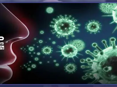 النظام السوري 