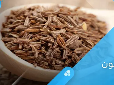 فوائد الكمون لأمراض الرحم وما بعد الولادة وتنظيف الكبد إليك أهم المعلومات - وكالة ستيب نيوز
