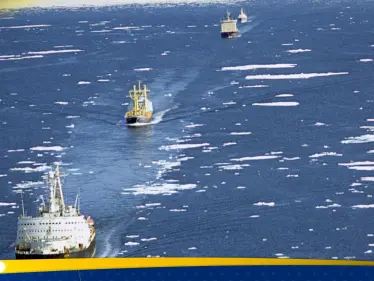 روسيا تستغل توترات البحر الأحمر.. "هذا هو البديل الآمن" - وكالة ستيب نيوز