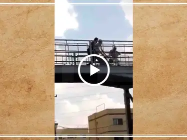 شاب أردني ينقذ آخرًا من الانتحار بطريقة بطولية (فيديو) - وكالة ستيب نيوز