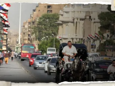 3 ظواهر مناخية في مصر.. تحذيرات لبعض فئات الناس من الخروج للشوارع - وكالة ستيب نيوز