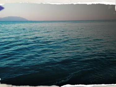 تغير لون أكثر من نصف محيطات الأرض وعلماء يكشفون سر - وكالة ستيب نيوز