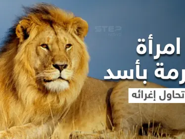 بالفيديو|| امرأة مغرمة بأسد تخترق حاجز الحديقة وتتمايل أمامه بفستان أحمر وباقة من الورد وتغريه بأموالها - وكالة ستيب نيوز