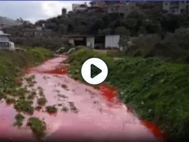 بالفيديو|| المياه تتحول للون الأحمر شمال رام الله وتثير مخاوف أهالي قراوة بني زيد - وكالة ستيب نيوز