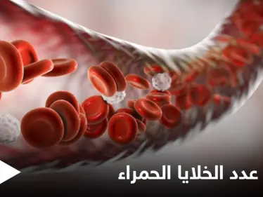 أسباب ارتفاع عدد خلايا الدم الحمراء والمشاكل الصحية المرتبطة بها - وكالة ستيب نيوز