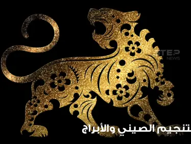 سنة 2022 حسب التنجيم الصيني هي عام النمر.. فماذا يعني ذلك وما أبرز خصائصها - وكالة ستيب نيوز