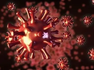 الأولى عالمياً.. دولة عربية تجيز استخدام دواء "افوشيلد" المضاد لفيروس كورونا - وكالة ستيب نيوز