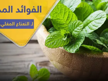 إنقاص الوزن وتعزيز جهاز المناعة.. تعرف على فوائد النعناع المغلي المذهلة - وكالة ستيب نيوز