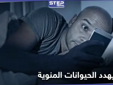 الحيوانات المنوية في خطر.. دراسة تكشف أثر استخدام الهواتف ليلاً - وكالة ستيب نيوز