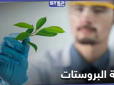 للحفاظ على صحة البروستات وتعزيز الرغبة الجنسية والخصوبة.. إليك هذا المستخلص النباتي - وكالة ستيب نيوز