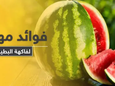 للرجال والنساء مجموعة فوائد مهمة لفاكهة البطيخ.. أبرزها الصحة الجنسية - وكالة ستيب نيوز
