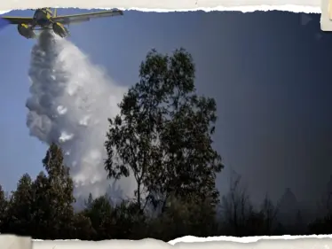رفع حالة التأهب في البرتغال وإسبانيا بسبب حرائق الغابات (فيديو) - وكالة ستيب نيوز