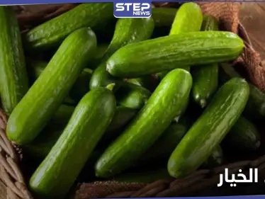 فوائد الخيار لجسم الإنسان.. وماذا يسبب تناوله لمرضى السكري - وكالة ستيب نيوز