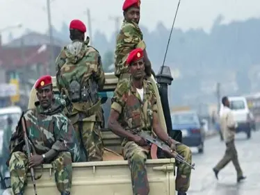 مجموعة الـ7 تطالب إثيوبيا بانسحاب سريع غير مشروط من إقليم تيغراي - وكالة ستيب نيوز