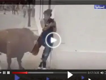 شاهد|| ثور هائج ينقض بقوة على امرأة.. انشغلت عن 