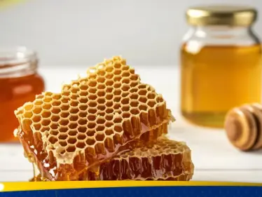 ملعقة عسل صباحًا.. فوائد صحية مذهلة لجسم أكثر نشاطًا - وكالة ستيب نيوز