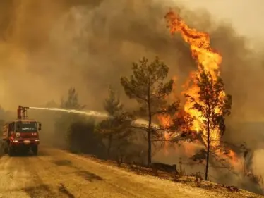 بالفيديو||سقوط طائرة أثناء عمليات إطفاء الحرائق في تركيا وموسكو تنعي رجال إطفاء روس قضوا على متنها - وكالة ستيب نيوز