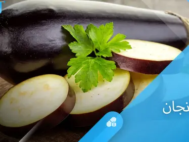 للصحة والجمال تعرف على فوائد الباذنجان الكثيرة - وكالة ستيب نيوز