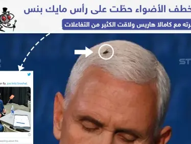 ذبابة على رأس نائب ترامب تخطف الأضواء وتثير موجة سخرية على تويتر - وكالة ستيب نيوز