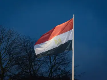 الإعلام المصري يكشف سبب ترحيل مواطن سوري "يشكل خطراً" على البلاد - وكالة ستيب نيوز