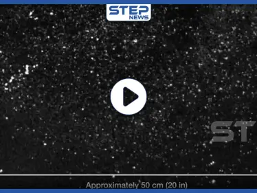 لقطات مصورة لعملية العطاس توثق بدقة المسافة الآمنة بينك وبين الأشخاص (فيديو) - وكالة ستيب نيوز