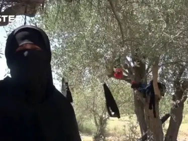 "استشهد زوجي بالقصف وأنا وأولادي عم نشتغل بالحطب لنأمن حياتنا" ... أم عدنان هذه قصتي - وكالة ستيب نيوز